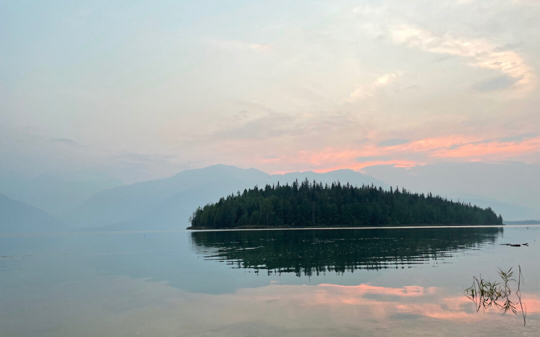 Empowering Health and Wellness Professionals with Workplace Resilience